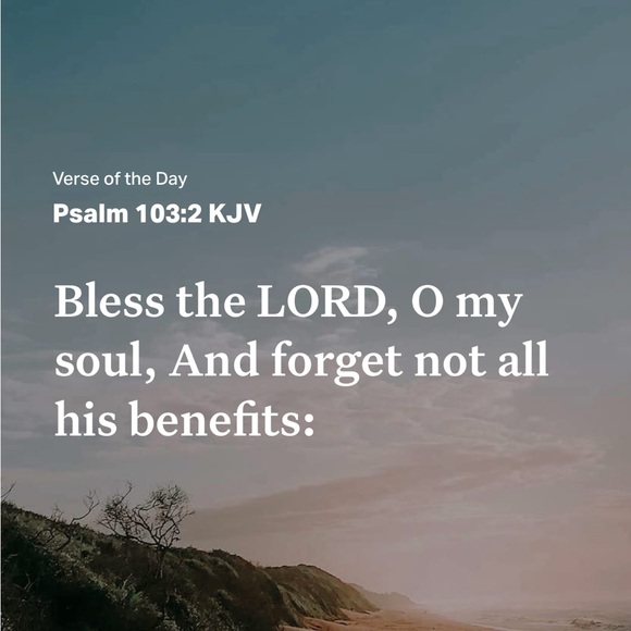 Meet your Posher, Deborah - Picture 2 of 2